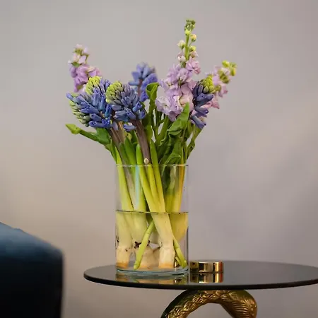 Designer Loft-ferienwohnung Im Zentrum Mit Tiefgaragen-parkplatz, Waschmaschine Und Privatterrasse * Leipzig