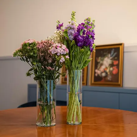 Designer Loft-ferienwohnung Im Zentrum Mit Tiefgaragen-parkplatz, Waschmaschine Und Privatterrasse Leipzig